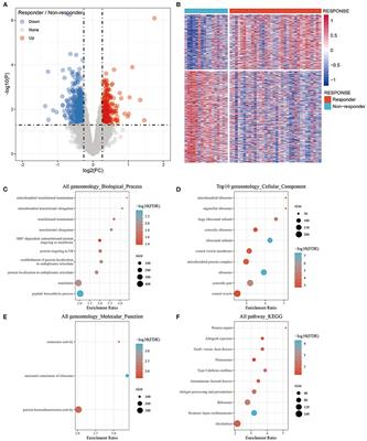 Construction and Identification of a Novel 5-Gene Signature for Predicting the Prognosis in Breast Cancer